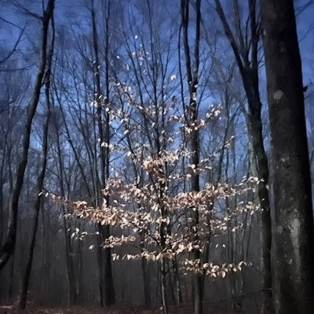 Meet your Posher, Kristina